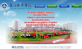 武汉市陆叁玖科技 一站式数字解决方案，助力企业腾飞